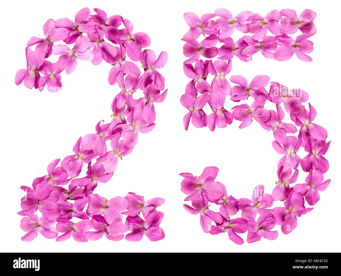 Numero arabo 25, venticinque, dai fiori di viola, isolato su sfondo bianco Foto Stock