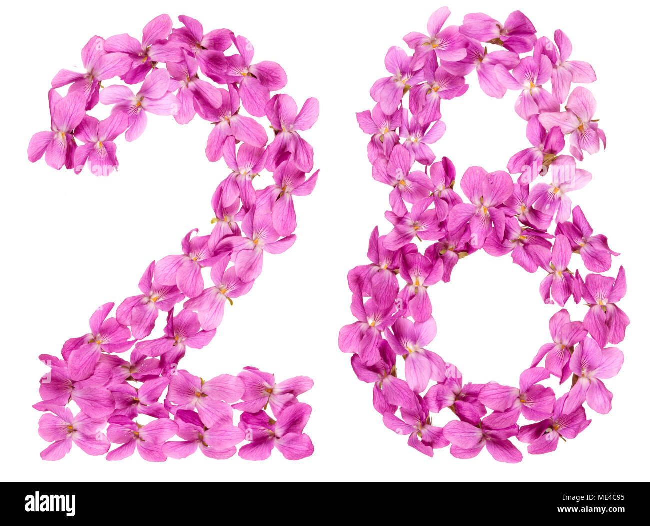 Numero arabo 28, ventotto, dai fiori di viola, isolato su sfondo bianco Foto Stock