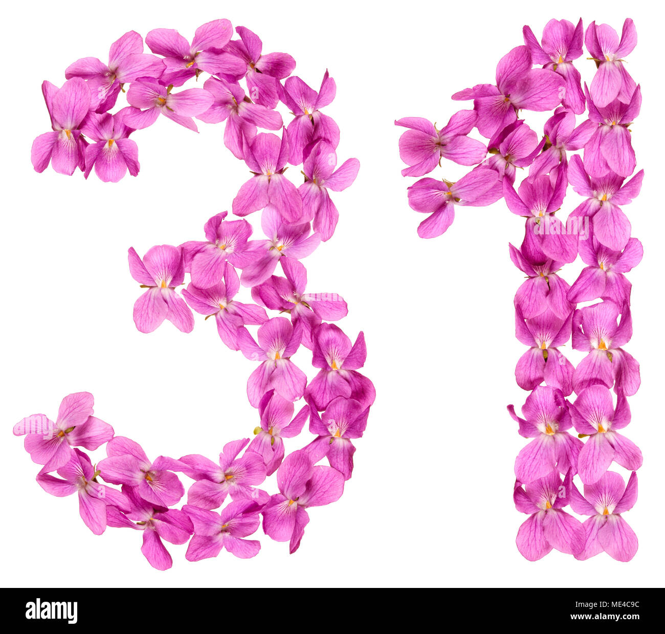 Numero arabo 31, trenta uno, dai fiori di viola, isolato su sfondo bianco Foto Stock