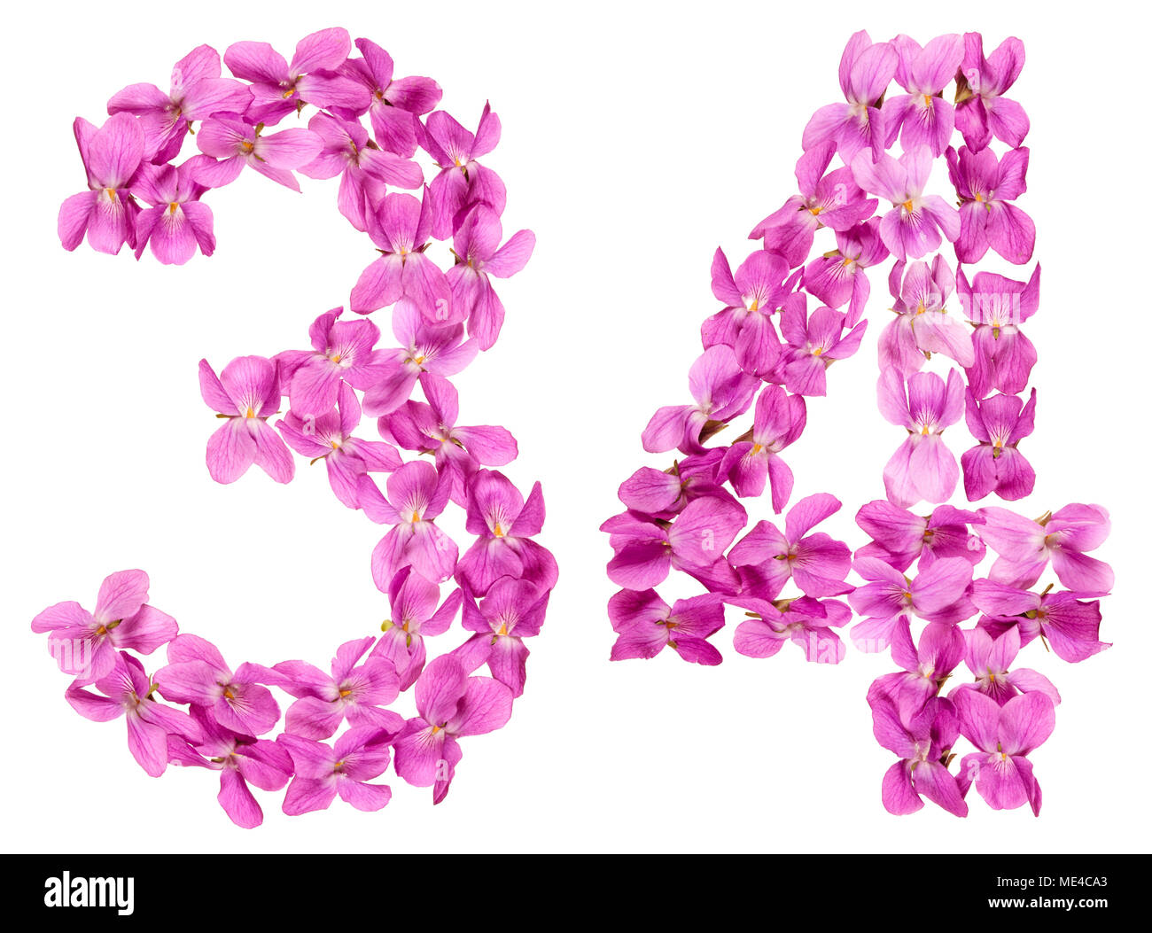 Numero arabo 34, trenta quattro, dai fiori di viola, isolato su sfondo bianco Foto Stock