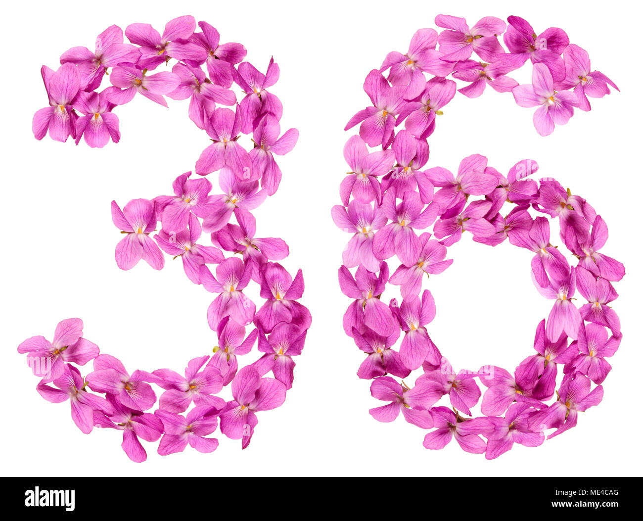 Numero arabo 36, trenta sei, dai fiori di viola, isolato su sfondo bianco Foto Stock