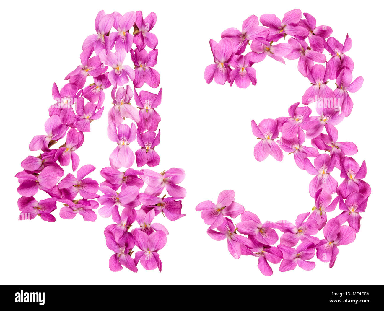 Numero arabo 43, quarantatre, dai fiori di viola, isolato su sfondo bianco Foto Stock