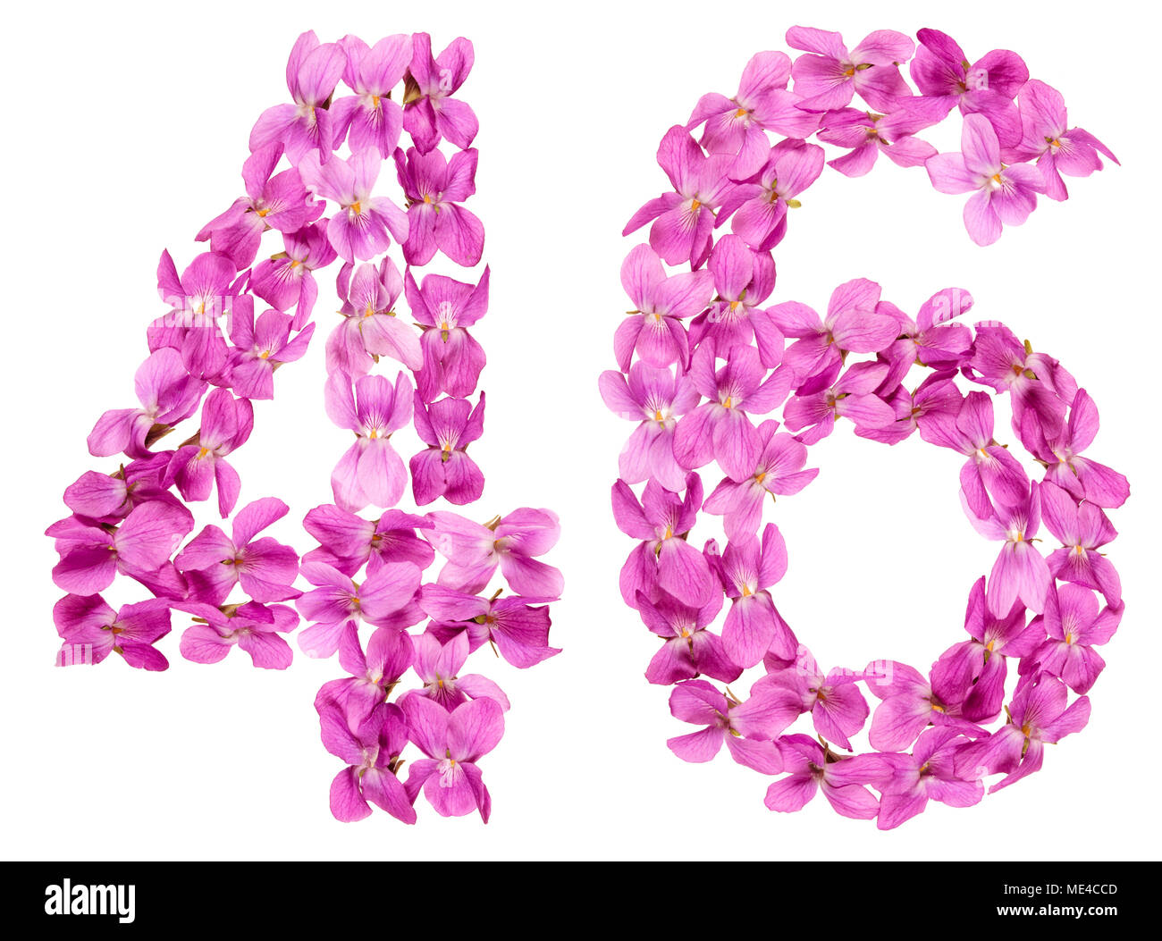 Numero arabo 46, quaranta sei, dai fiori di viola, isolato su sfondo bianco Foto Stock