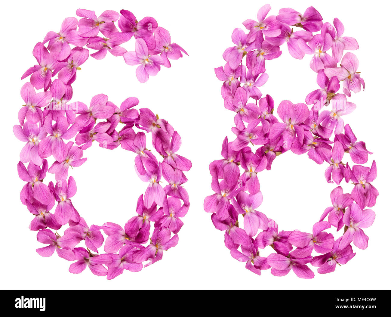 Numero arabo 68, sessanta otto, dai fiori di viola, isolato su sfondo bianco Foto Stock