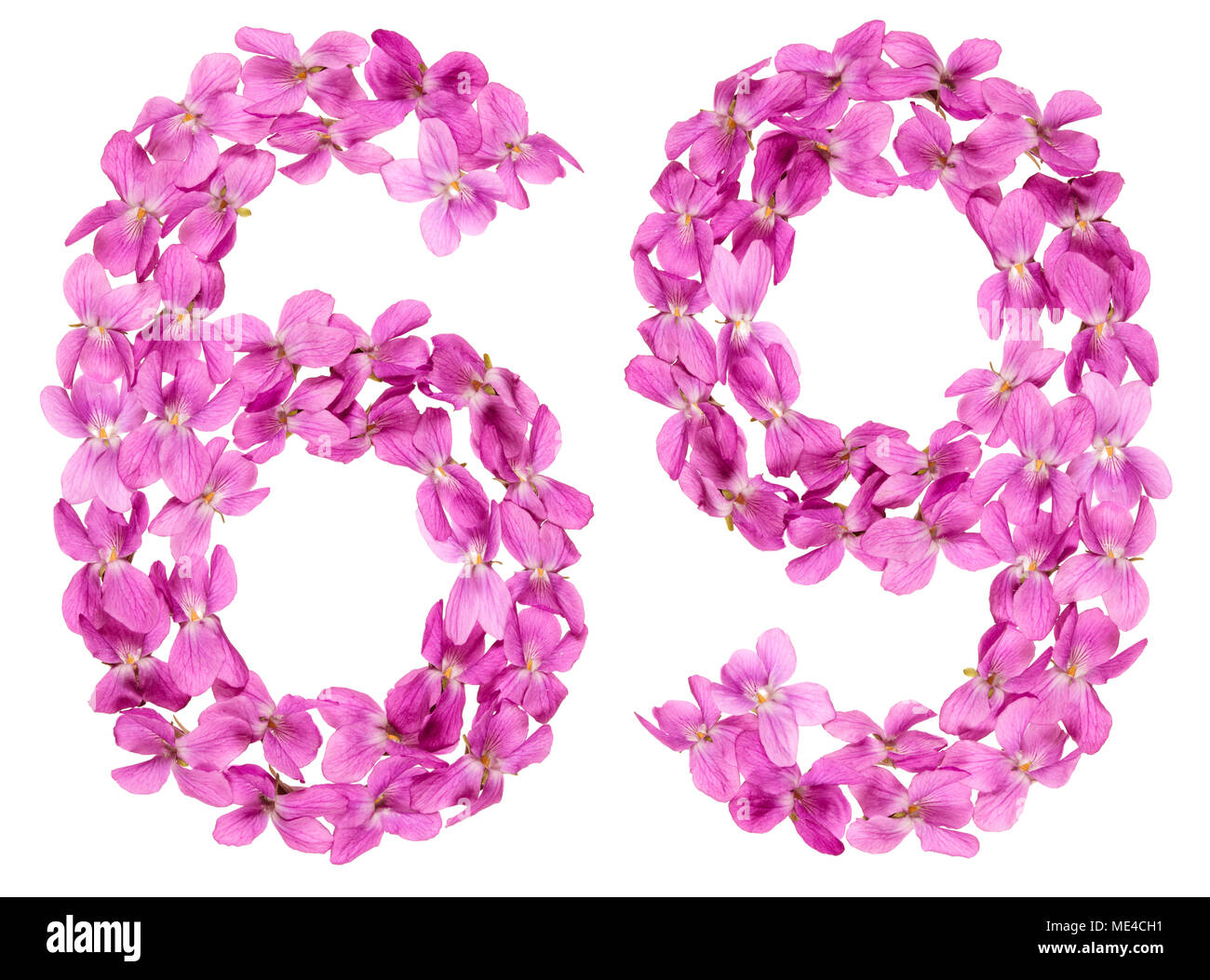 Numero arabo 69, sessanta nove, dai fiori di viola, isolato su sfondo bianco Foto Stock