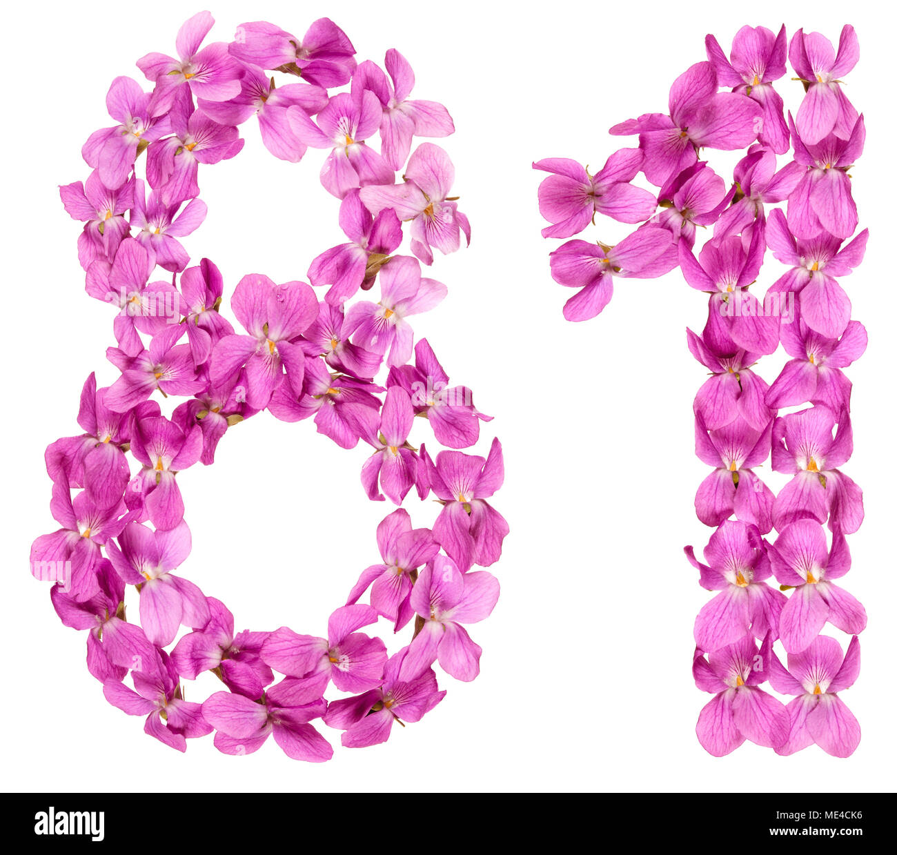 Numero arabo 81, ottanta uno, dai fiori di viola, isolato su sfondo bianco Foto Stock