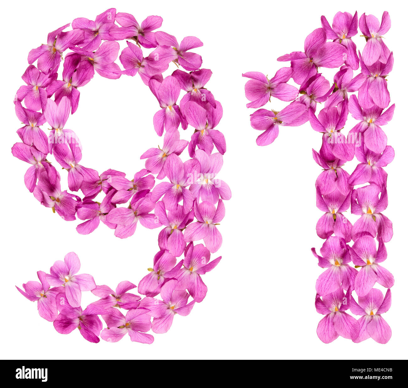 Numero arabo 91, novanta uno, dai fiori di viola, isolato su sfondo bianco Foto Stock
