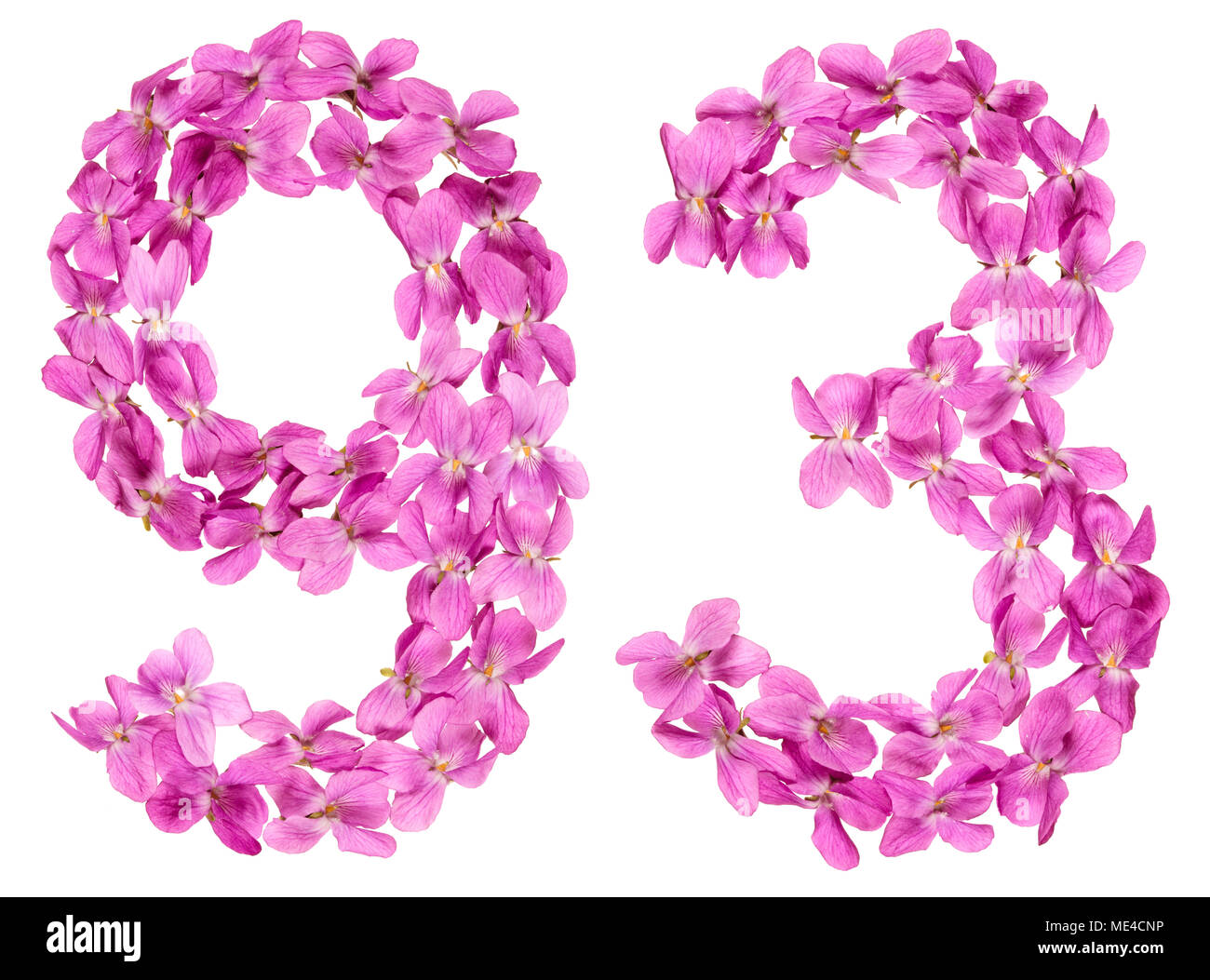 Numero arabo 93, novanta tre, dai fiori di viola, isolato su sfondo bianco Foto Stock