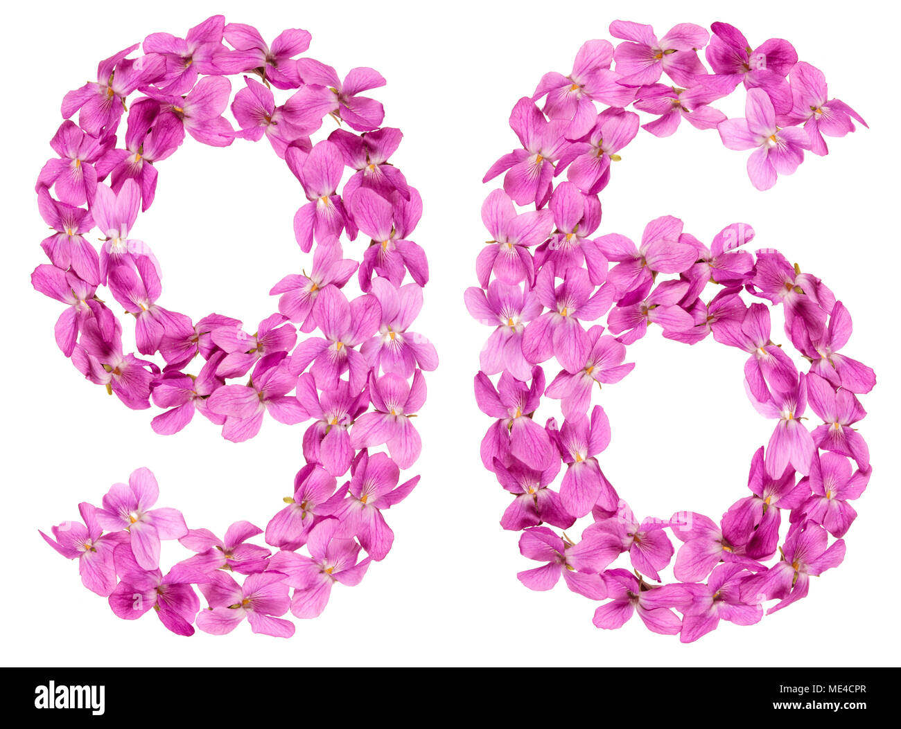 Numero arabo 96, novantasei, dai fiori di viola, isolato su sfondo bianco Foto Stock