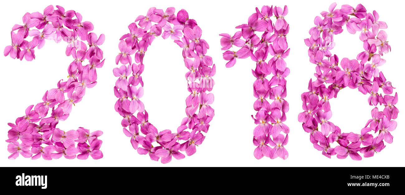Il numero di riferimento 2018 dai fiori di viola, isolato su sfondo bianco Foto Stock