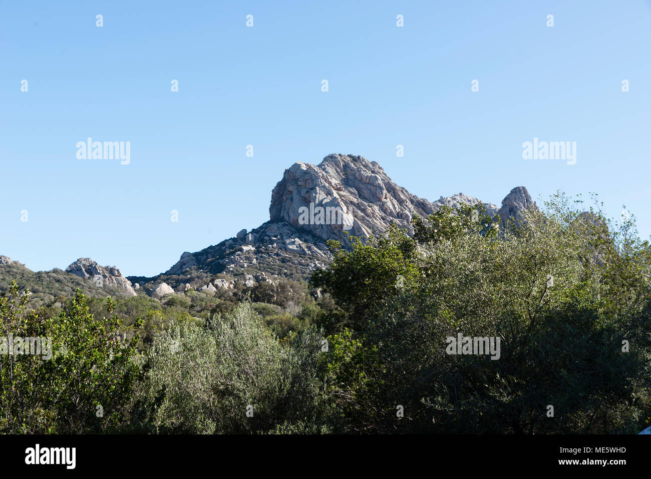 Rocce e natura selvaggia in Sardegna Foto Stock