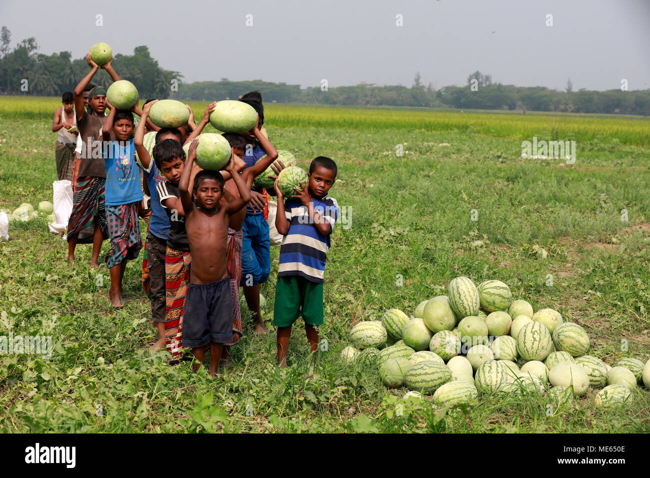 Noakhali, Bangladesh - Aprile 06, 2018: i bambini del Bangladesh trasportare anguria a un campo di Noakhali, Bangladesh. Foto Stock