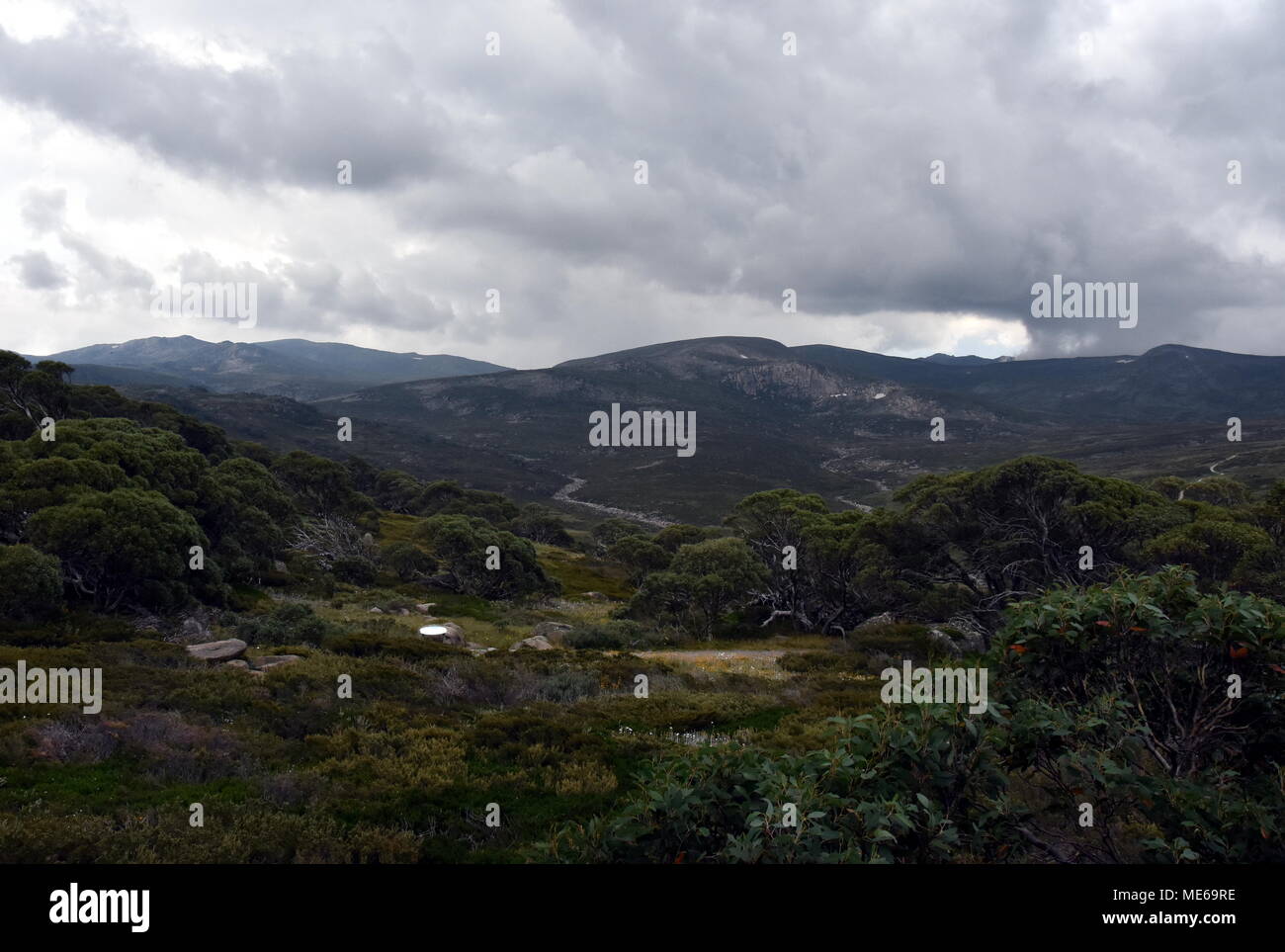 A piedi via a Charlotte passano nelle montagne innevate del Nuovo Galles del Sud, Australia. Foto Stock