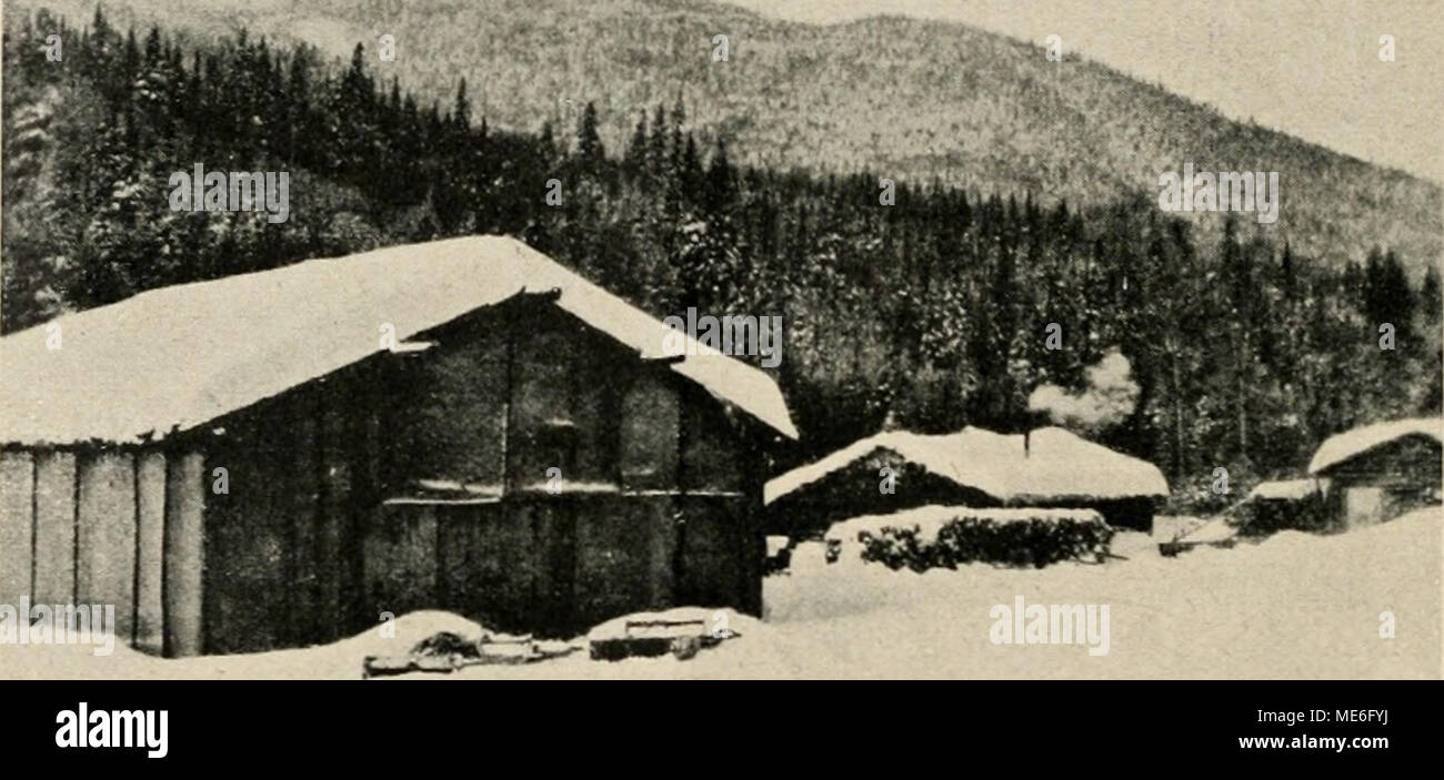 . Die geschichtliche Entwicklung und der heutige Stand der Verwaltung der Wälder in Kanada . Abb. 18. Holzfällungslager Fichten-Tannen im-capitolo Gebiet des Laurentischen Höhenzuges (Quebec). [Lumber camp in abete rosso-fir regione delle Colline Laurenziana (Quebec).] Superiore Inferiore und Canada, von 1849 und 1853 enthielten noch keine essere- stimmungen über die gesonderte Behandlung des Holzes auf Siedlungsstellen. Erst im Gesetz von 1869, betreffend Verkauf und Bewirtschaftung von Staats- ländereien (Säle e gestione delle terre pubbliche), findet sich eine essere- stimmung, nach der der agricoltore kein Recht auf Holznutz Foto Stock