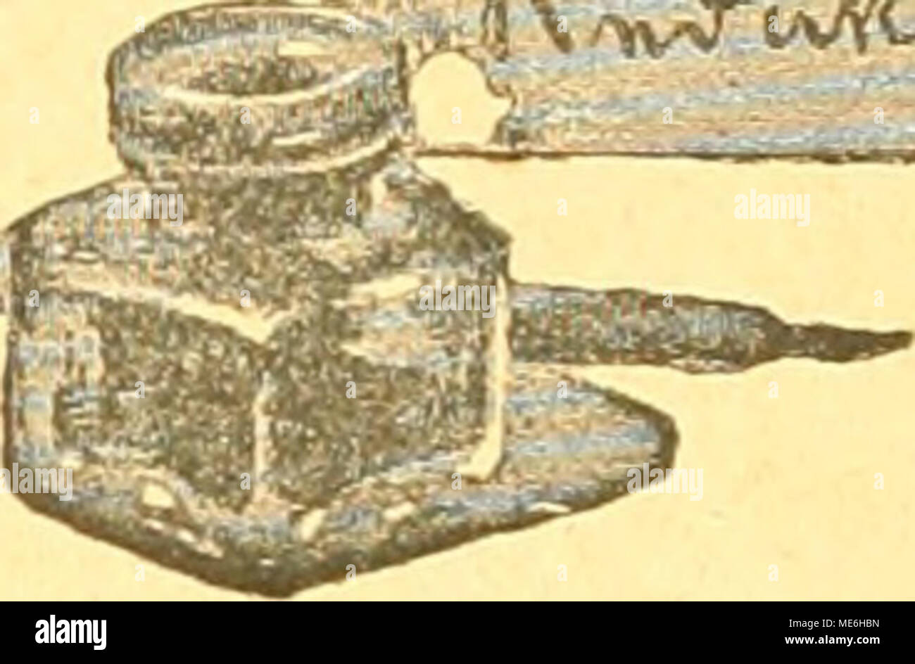 . Die Gefiederte welt . $errn Ã. JH., Wagbeburg. 9.1?Un beftreid)t bie fablen Â©teÃ¼en etwa jeben jmeiten 2;ag. Da bei ber uorgerÃ¼cften SabreSjeit bie Â©rneuerung beÂ§ Â®efieberÂ§ beoorftebt, ift eÂ§ aber ratfam, ab.5umarten, ob ficb ber 5&GT;oge( nicbt obne ieg= lidieS ^ntun loieber befiebert. Den 12 3abre alten )5finfen luiebcr somma Â©cblagen ju neranlaffen, ift jegt natiirlicb nicbt angÃ¤ngig. (5'5 mÃ¼Ãte im grÃ¼bjabr jeittgen uerfud)! Merben, ibn burcb Darbietung anregenber Futtermittel (3J?eblrourm, 6i) jum Â©djlagen ju bringen. ."Perrn O. >^. &Amp;., .Oalle a. Â©.; ^errn 21. IL, DÃ¼ff Foto Stock