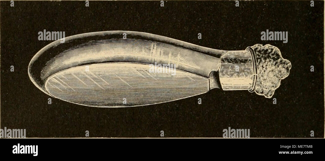 . Die mikroorganismen. Mit besonderer berücksichtigung der ätiologie der infektionskrankheiten . Fig. lö. Übersteht; derselbe soll nicht zu fest an den Wandungen anliegen, damit nicht durch Furchen der kompakten Masse durchlässige Kanäle lei- gestellt werden. Von Pasteue sind kleine Kölbchen (matras) eingeführt, auf deren Hals zunächst ein kleiner timone (Fig. 19) aufgeschliffen ist, und erst dieser Helm trägt einen Wattepfropf (a). Diese Kölbchen sind namentlich geeignet für Kulturflüssigkeiten, von denen häufiger abgeimpft werden soll; uomo braucht dann nicht den Wattepfropfen mit seinen anhäng Foto Stock