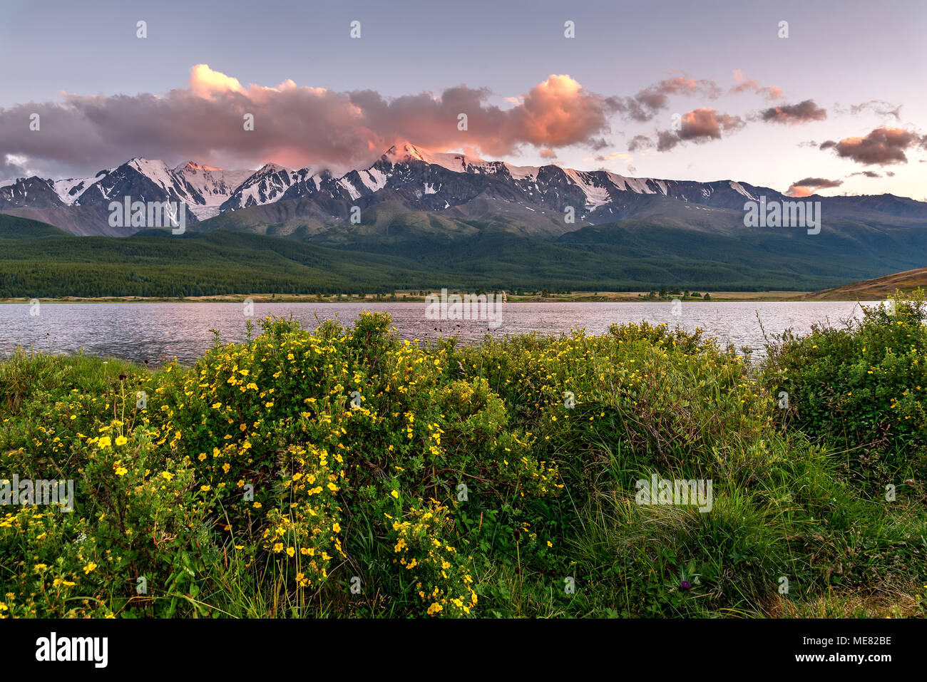 Un paesaggio fantastico con montagne, neve e foresta sulle pendici, cespugli di Curili tè sulla riva del lago e le nuvole rosa al tramonto Foto Stock
