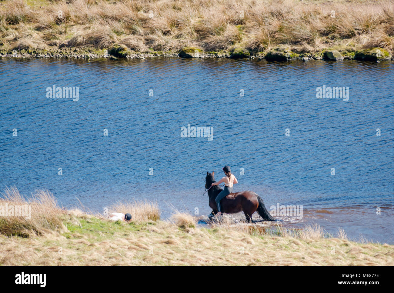West Linton, Scottish Borders, Scotland, Regno Unito, 21 aprile 2018. Sole primaverile in campagna, una ragazza in sella ad un cavallo bareback in un lago di raffreddarsi Foto Stock