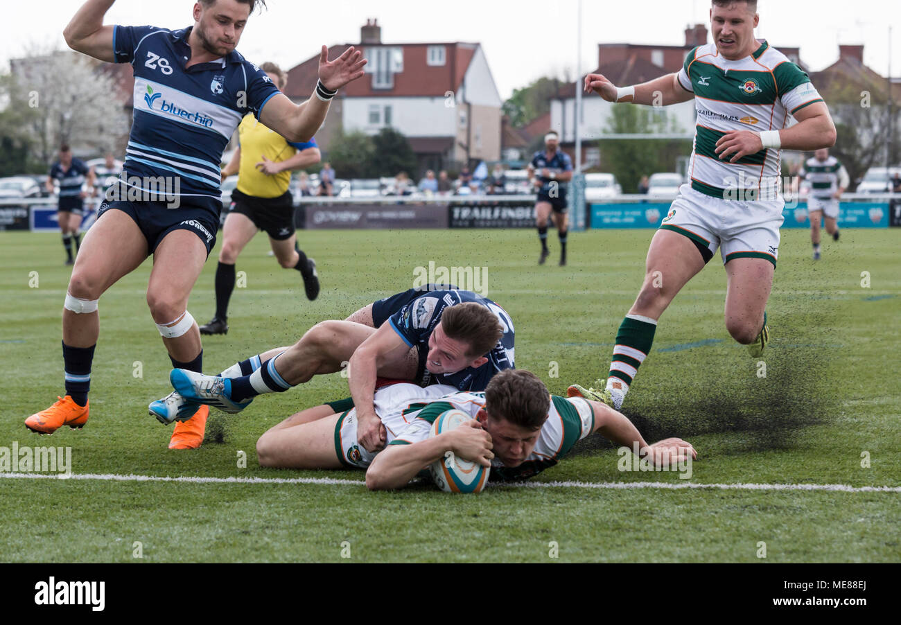 Londra, UK, 21 aprile 2018. I pontili O'Connor punteggi a provare, Ealing Trailfinders v Bedford Blues in Semi Finale del B&I Cup al castello di Bar, Vallis modo, West Ealing, Londra, Inghilterra, il XXI Aprile 2018 punteggio finale 36-16 Credito: Lissy Tomlinson/Alamy Live News Foto Stock