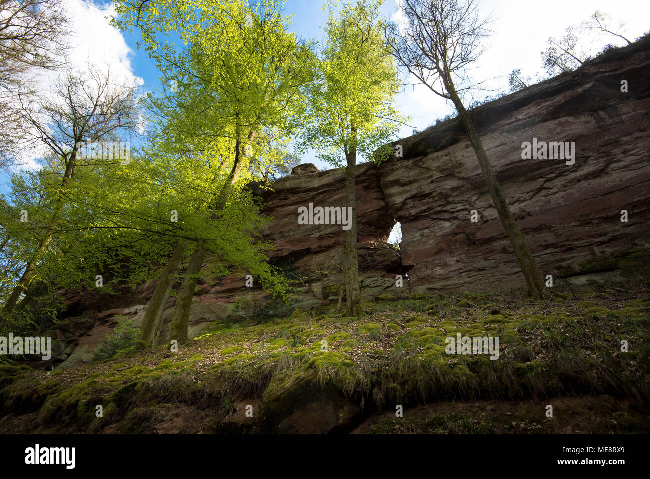 Rocce chiamato Erbsenfelsen nel nord Vosgi in Francia Foto Stock