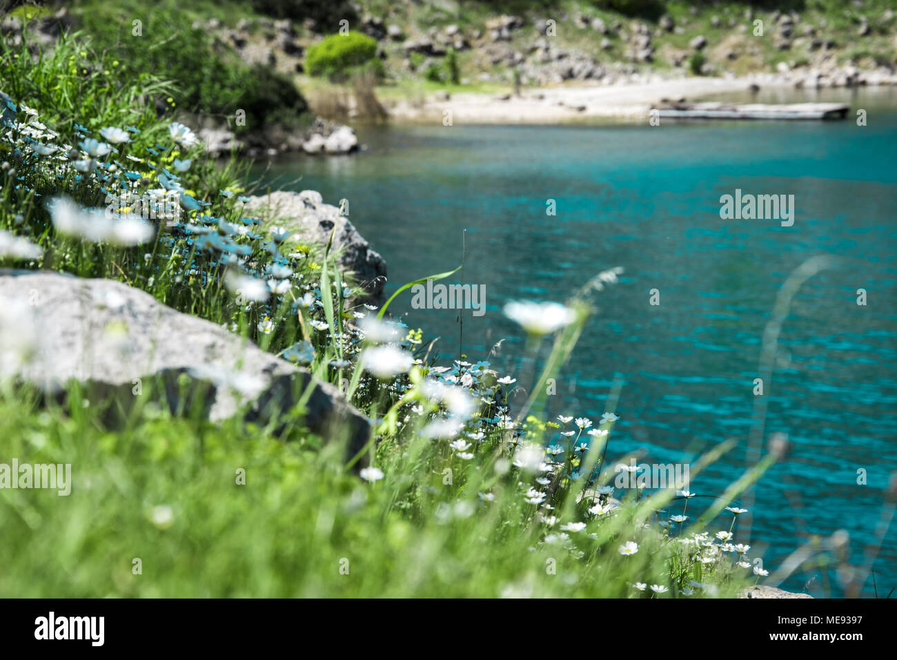 La molla è chiamata e il tempo è soleggiato e caldo. Questa ripresa è costituito da un piccolo porto, accanto ad una spiaggia in Grecia Foto Stock