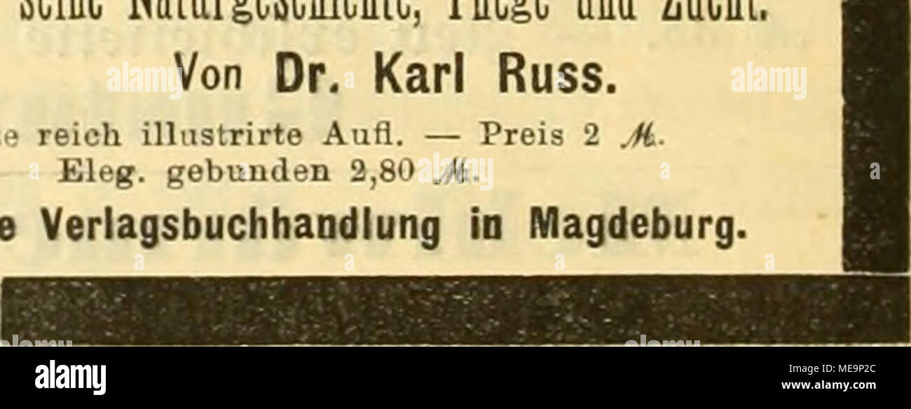 . Die Gefiederte welt . Sei unÃ¤ etf^ien: jum Â©iroevb unb fÃ¼r n)iffen|d)aftlic^e 3iBtd8. Von Dr. Ã¼arl Suf|. TOit 30 Mbbilbungcn im â€ERT. 5|3veiÃ¤ ./'Â"ho l,così, gebunbcn .Ã 2,55. Â ^ ^xeu^'fÃ¤tc ^erfÂ"fls6tt(^?anbrttng in ?l"8BC6urg. Sei unÃ¤ evfd^ien; T)xe Brieftaube, ein -SniiÃ¶Ãucl} ^ur QÃ¼ctpfTecjimg unÃ¶ 3iic^t. "GJon Dr. S^avt ^xtg. &Gt;:^veiÂ§ 5 JL Sreu^fdie llcriagsbudjijanblung in Pagbtburg. Foto Stock