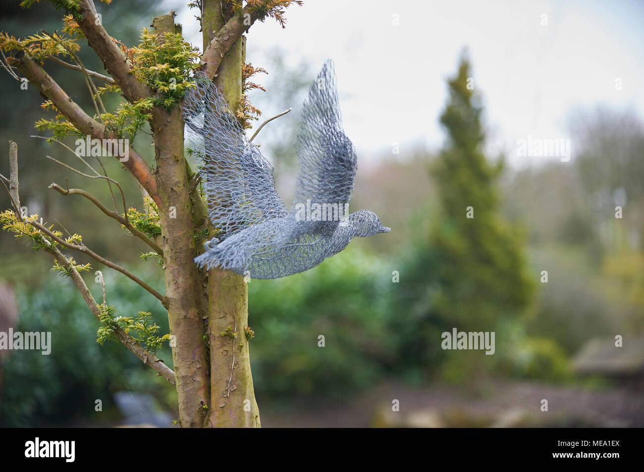 Filo sculture nel giardino Foto Stock