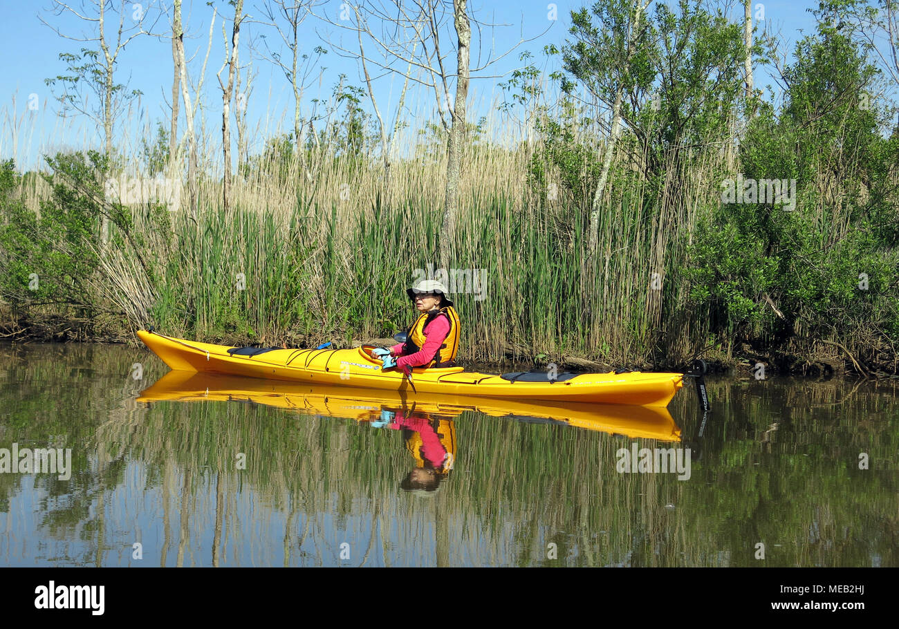 Kayak sul fiume di marea con acqua Ancora riflessi e lo sfondo di palude Foto Stock