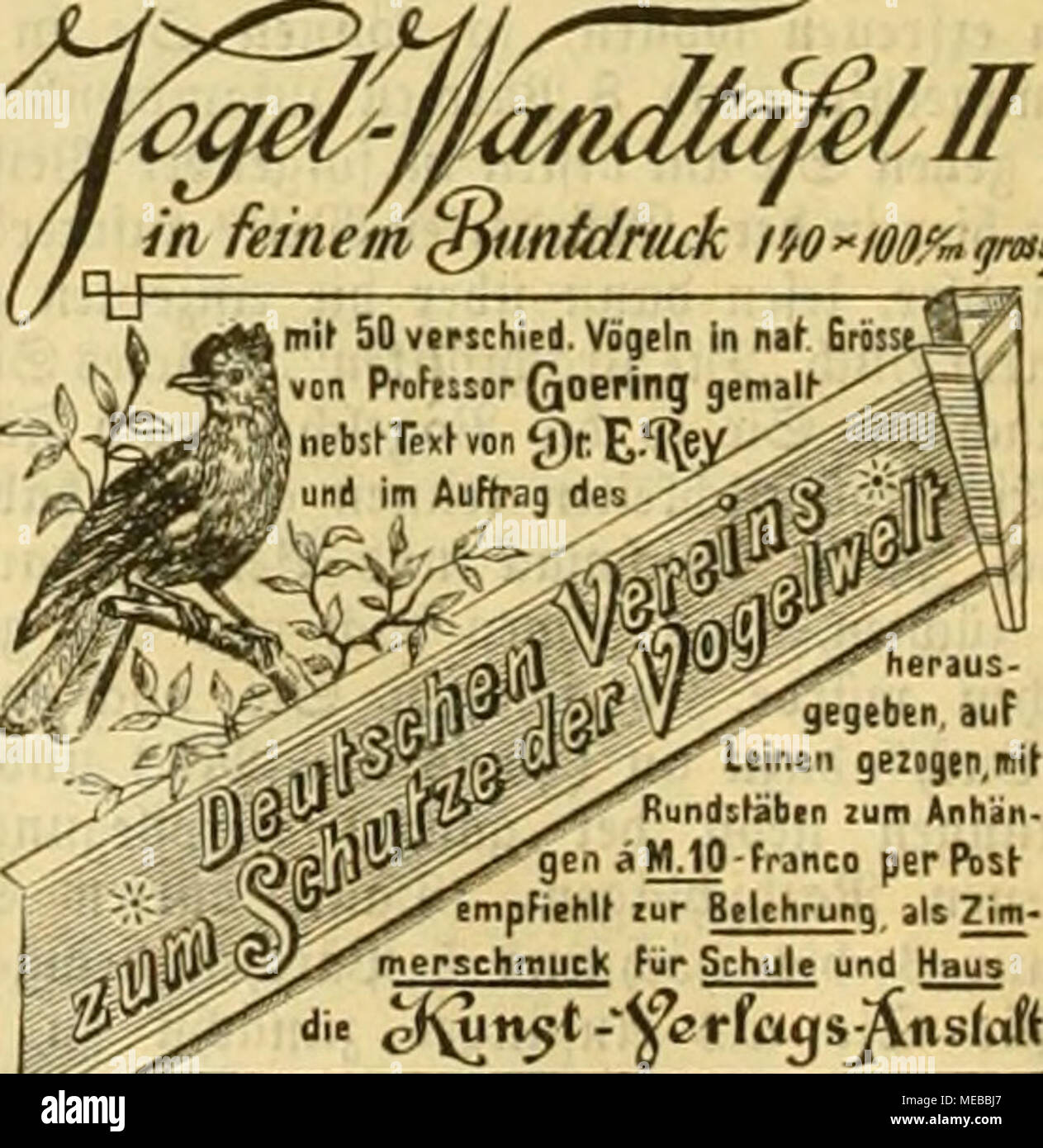 Die Gefiederte Welt 4 Un S Fav Ieufzsc Ii1ouss Auch Dupcb Jvdi Buch T Sfhandlung Lu Btii Frifc E Jimetfcncicr Slineifenelcr Seifemutm U Un Jaljrelang In Frif Em 3uftaub Aufjuberoaljren Unb Ju