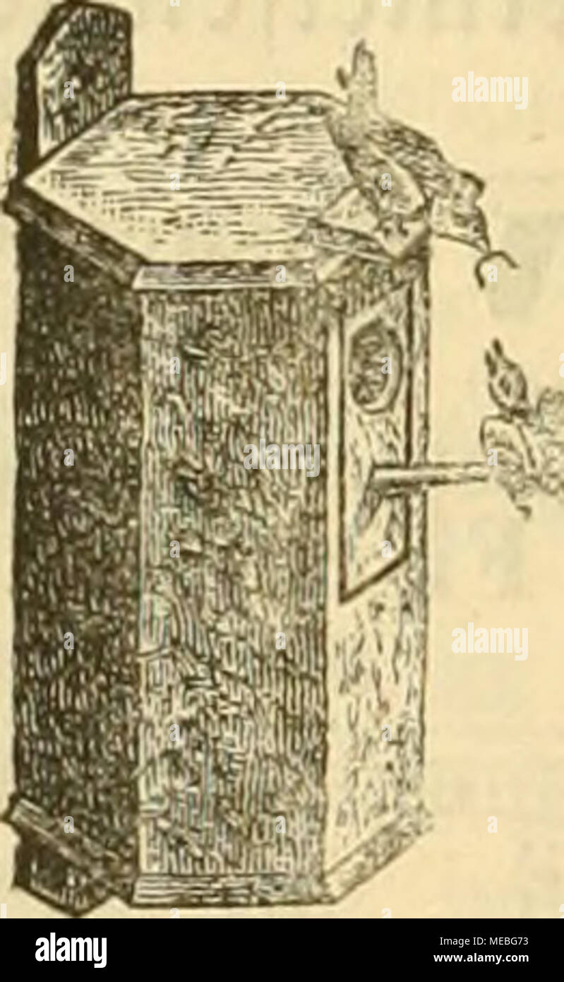 . Die Gefiederte welt . 'S er; â 5 Â" Â° Ã¤ ^Â® -- ^' Â"'S 3{u|erbem fÃ¼r aBellmfittid^e unb anbere frcmbt. 588gel; â preissSjerjcidjuiffe ju Bicnften. 33ercinen nnb .giÃ¤nblern bei grameren *|joften Wabatt. ' [351] (Ã¤mpfeblc alle Wirten Ã¼berfccift^er 23Ã¶gcl. 3^erfanbt naÃ¤) jeber Entfernung. Ãciftc Pn-niÃ¤br fÃ¼r gute ilufunft, roaÃ¤ niift gefÃ¤Ã¼t, wirb fofort nmgctnu|d)t. Unter anberin (labe ab,;ugeben: 1 Ãlarinettcnuogel, Ã¶h J(, 1 (Jpauicttcuftar, l'ho ,/', 1 SBÃ¼IbÃ¼I, rotI)ft., alle gute Â©Ã¤uger, 1 prarfjtriolleg *par SJofenpapageien, 55 Ji, 1 brÃ¼tluftigeg, pvact)tBolIeÂ§ *]3AR Â©in Foto Stock