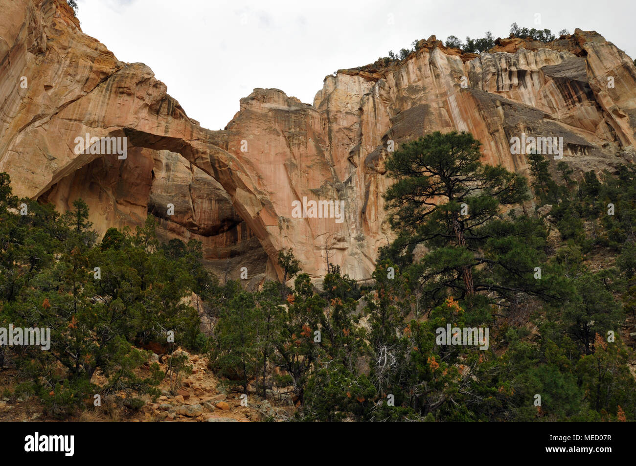 L'arenaria La Ventana Arco Naturale in El Malpais National Conservation Area a sud di sovvenzioni, Nuovo Messico. Foto Stock