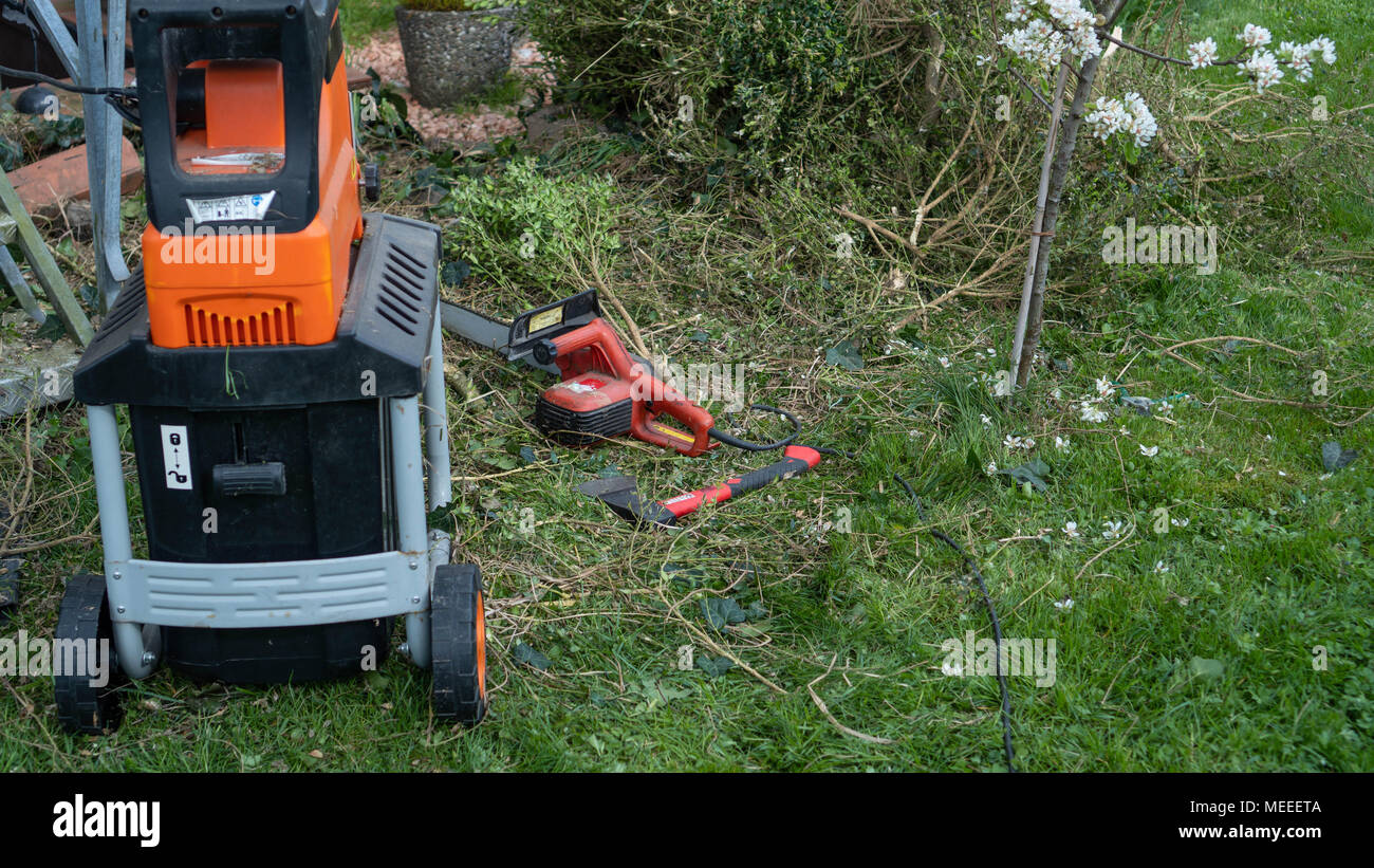 Un uomo nel giardino è la posa di rami di legno nella macchina per la trinciatura. Close up Foto Stock