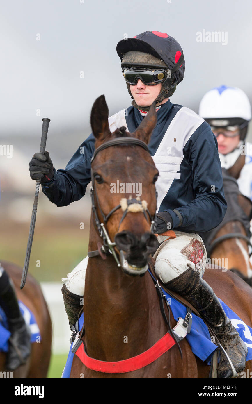 Nativo di acciaio (jockey Trevor Whelan) davanti a un cavallo di razza Foto Stock