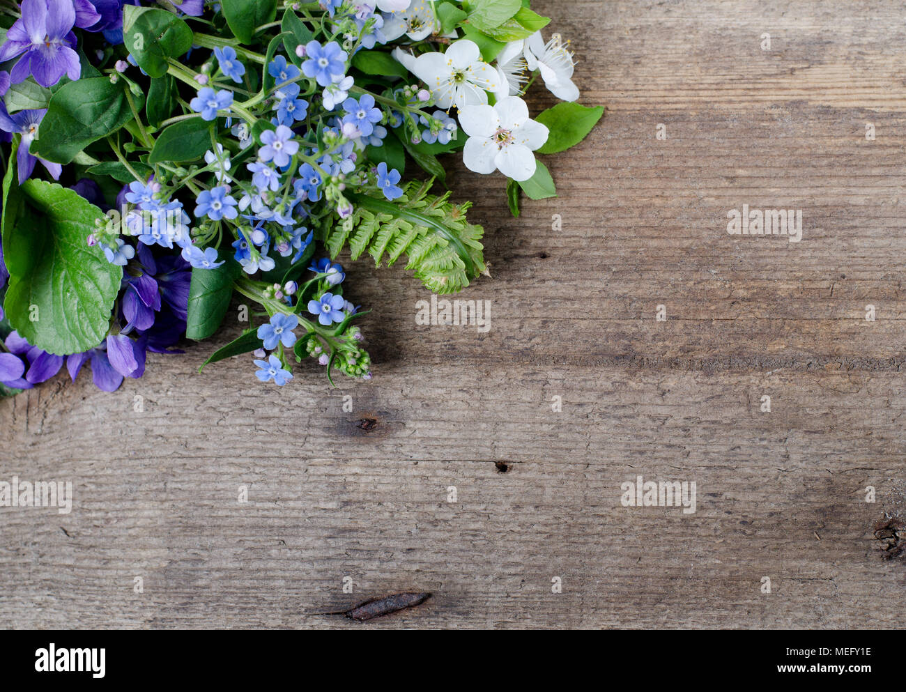 Bouquet di primavera con le viole e dimenticare-me-non fiori su un sfondo di legno con spazio per il testo. Foto Stock