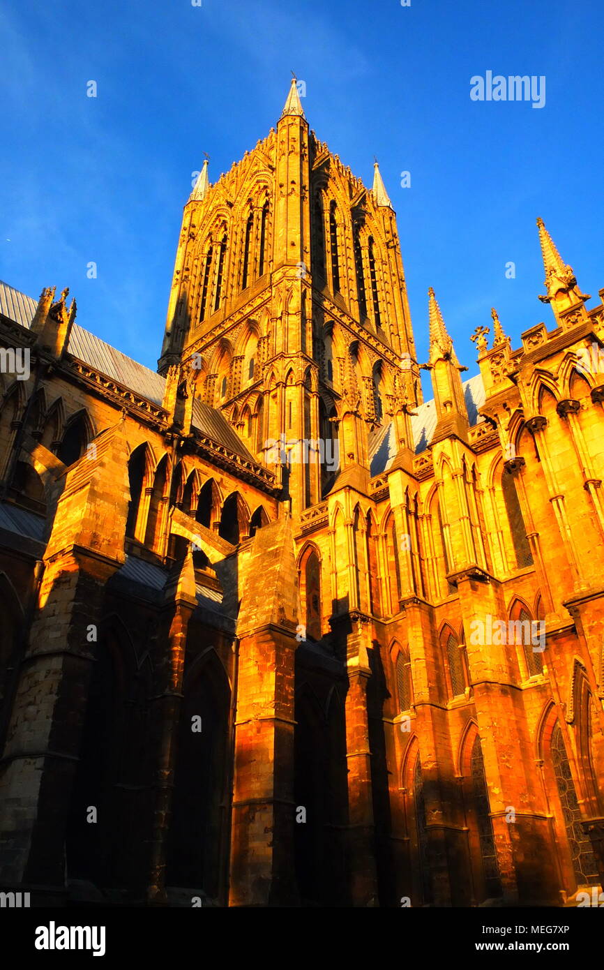 Un inverno tardo pomeriggio di sole baciò Cattedrale di Lincoln, Foto Stock