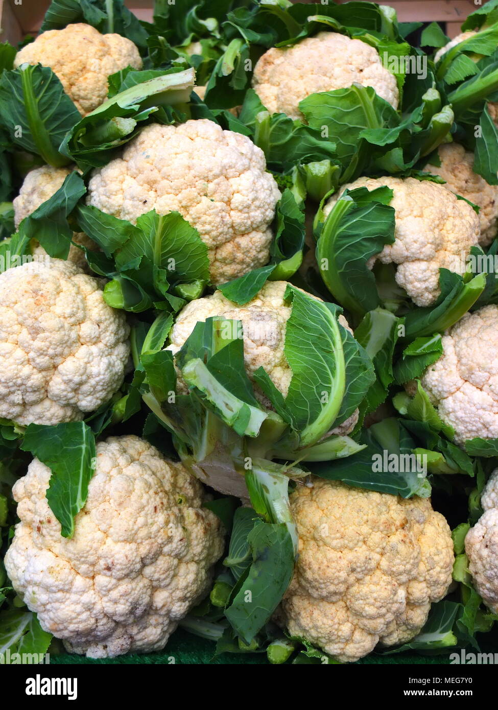 Ampio e nitido il cavolfiore su un mercato in stallo Foto Stock