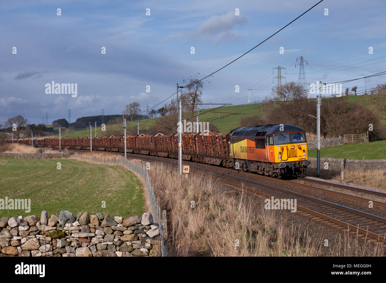 Un Cole il trasporto ferroviario di merci di classe 56 locomotiva di Thrimby (nord di Shap, Cumbria) sulla linea principale della costa occidentale con un treno merci caricate con il legname Foto Stock