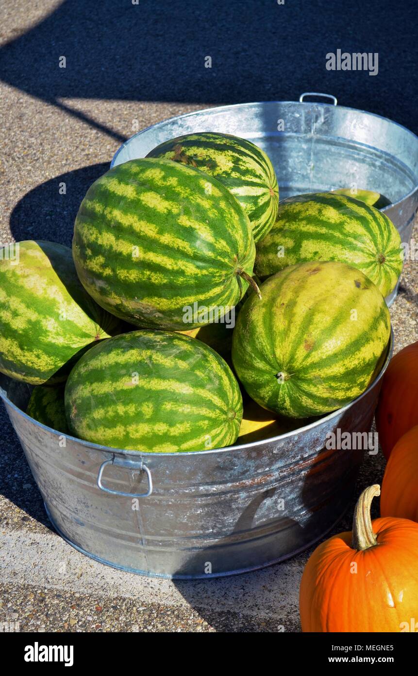 Ampia varietà di prodotti agricoli locali freschi e biologici in esposizione e in vendita. La maggior parte sono pulite e pronte per mangiare verdure commestibili. Foto Stock