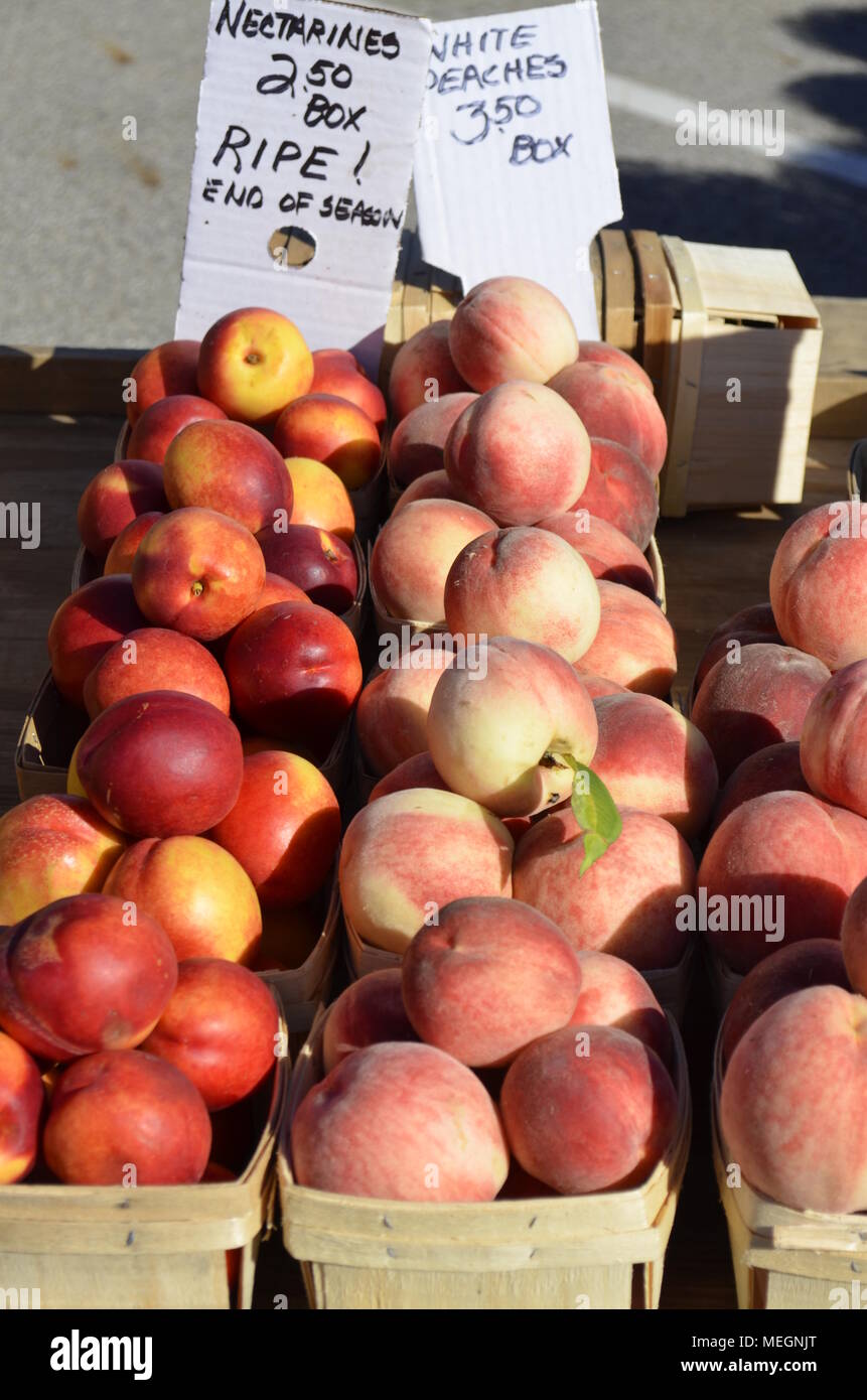 Ampia varietà di prodotti agricoli locali freschi e biologici in esposizione e in vendita. La maggior parte sono pulite e pronte per mangiare verdure commestibili. Foto Stock