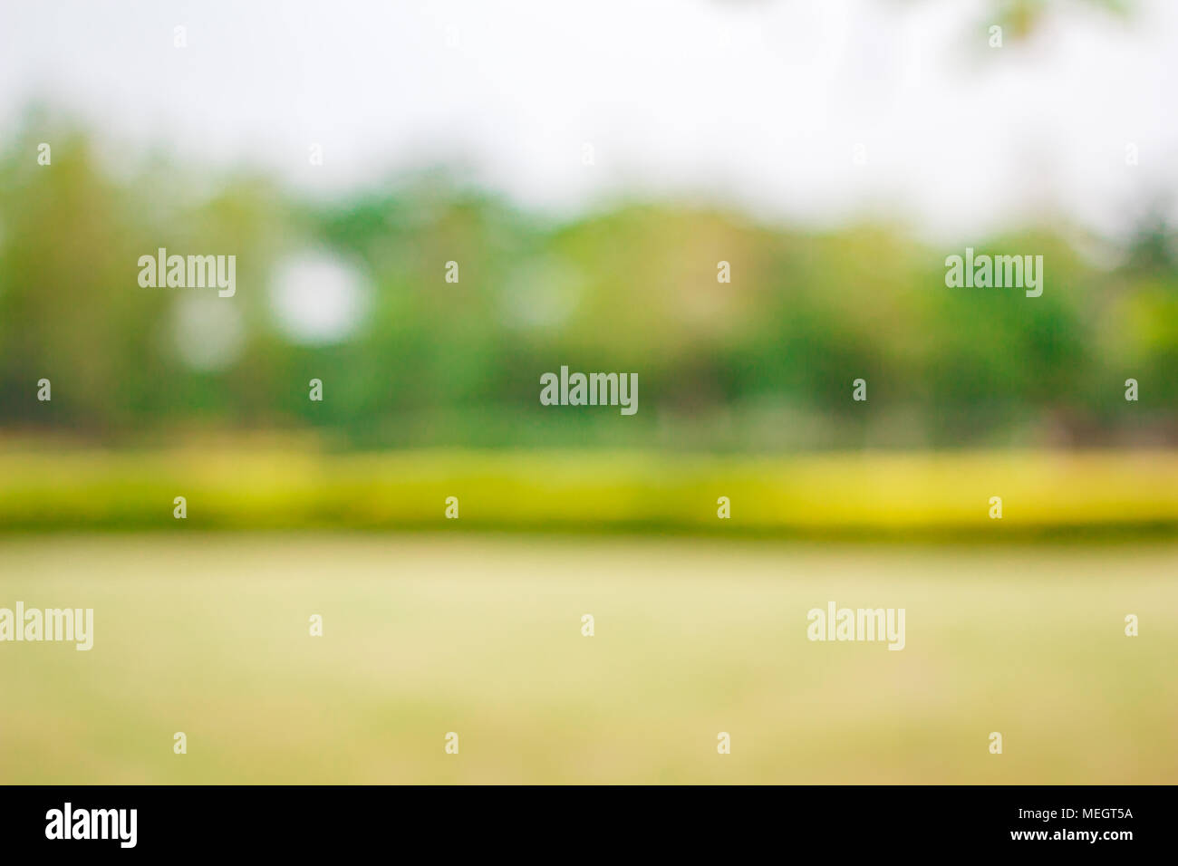 Blur naturale e sfondo luminoso nel parco. Foto Stock