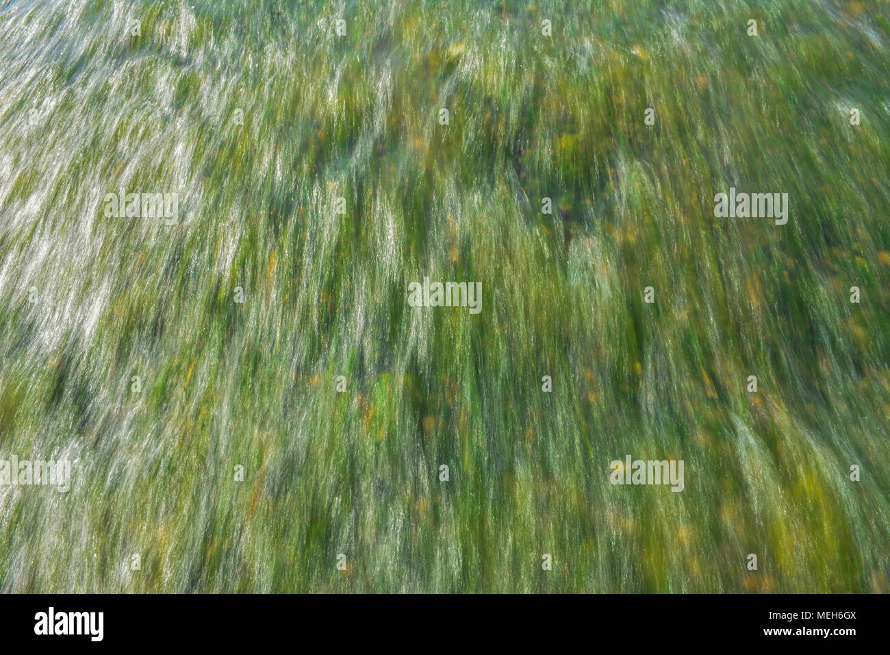 Acqua di superficie texture di sfondo Foto Stock