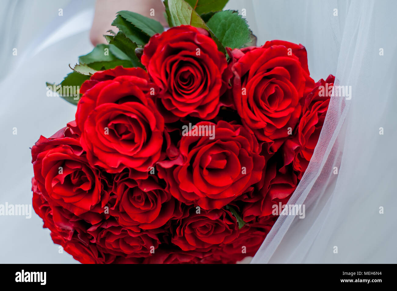 Bouquet della sposa, naturale, rose, stile mazzetto vacanza giorno di colore Foto Stock