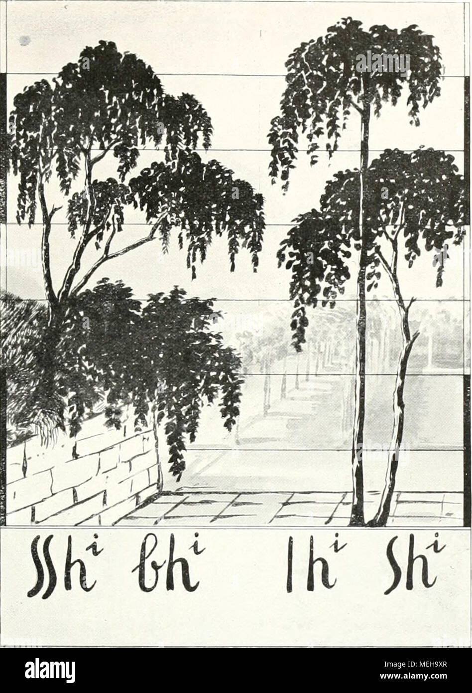 . Die Gartenkunst . yr&gt;- - bh'- XX. Hauptversammlung der Deutschen Gesellschaft für Gartenkunst, Mannheim, 27.-31. Jlüi 1907. Die 20. Hauptversamm- polmone der D. G. f. G., welche vom 27.-31. Juli d. .J. in der Ausstellungsstadt Mannheim stattfand, bedeutet einen vollen Erfolg nach jeder Richtung hin. Sowohl der äußere Verlauf der ganzen Veranstaltung, wie auch der innere Gehalt der Darbietun- gen und die Ergebnisse der Verhandlungen lassen diesen Ausspruch als nicht übertrieben erscheinen. Schon am Abend des 27. Juli waren soviele Teilnehmer in Mannheim eingetroffen, dass das als Zusammenkunft Foto Stock