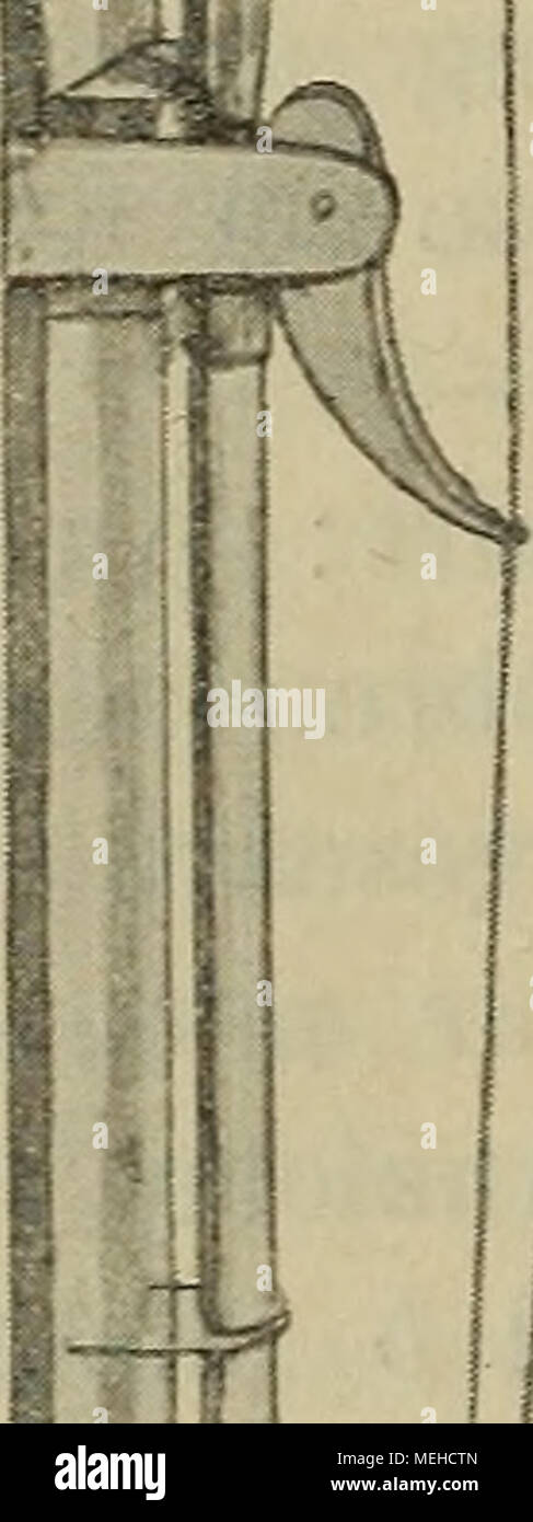 . Die Entomostrakenfauna der "alten Donau" bei Wien : eine Studie ethologische . D. Nun ist nichts Weiter zu thun, als zu essere- stimmten Zeiten den Apparat, nachdem man vorher die Leine bei un angezogen, aus dem Wasser zu ziehen und nachzusehen, un welcher Stelle sich das befindet di plancton. Eine gute Lupe erleichtert das Erkennen der einzelnen Planktonwesen. Ein geübtes Auge wird aber auch ohne dieses Hülfsmittel wenigstens einige der Formen un ihren charakteristischen Schwimmbewegungen zu unterscheiden ver- mögen. Selbstverständlich stellt der Apparat a circuizione gegenwärtigen, primitiva Foto Stock