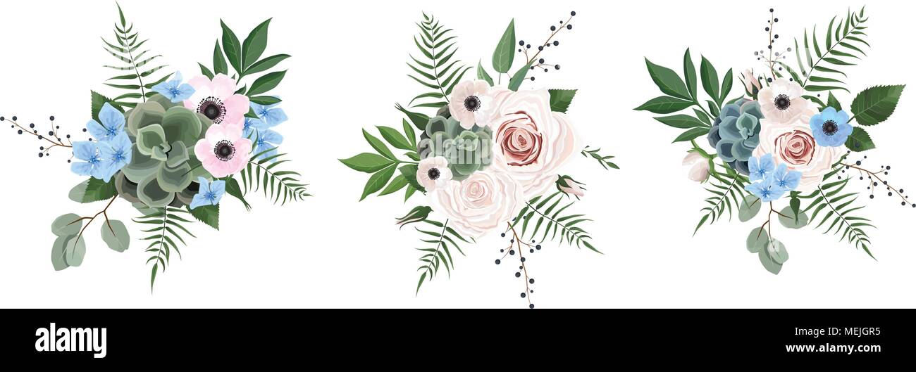 Designer di vettore di elementi di raccolta del Verde Eucalipto, arte fogliame foglie naturali erbe in stile acquarello. Bellezza decorativa elegante illustrat Illustrazione Vettoriale