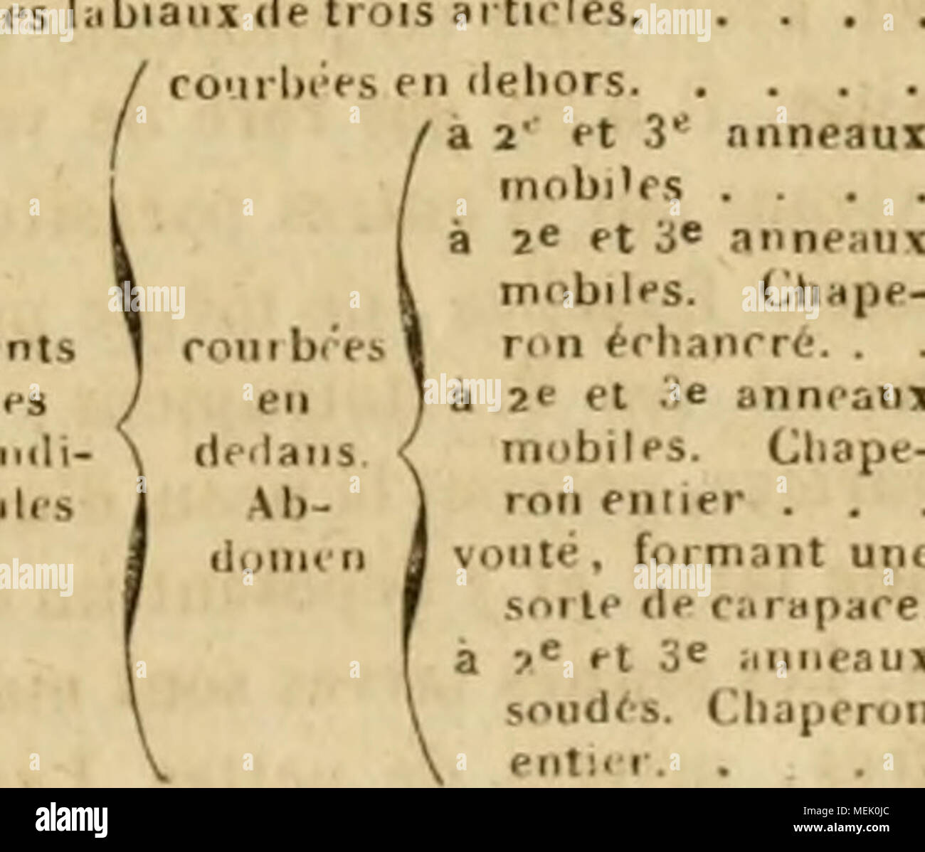 . Dictionnaire universel d'histoire Naturelle : rÃ©sumant et complÃ©tant tous les faits prÃ©sentÃ©s par les encyclopÃ©muore, les anciens dictionnaires scientifiques, les oeuvres complÃ¨tes de Buffon, et les... traitÃ©s spÃ©ciaux sur les diverses rami des Sciences Naturelles. .. . Agathites. formant une Ile carapare SiGiLPHITM. Foto Stock