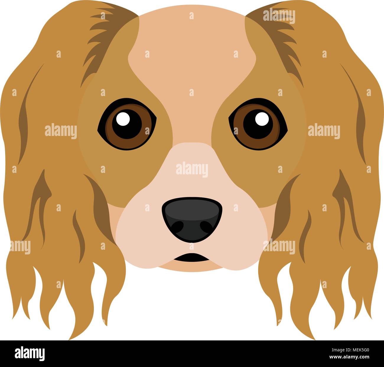 Carino il Cavalier King Charles Spaniel cane avatar Illustrazione Vettoriale