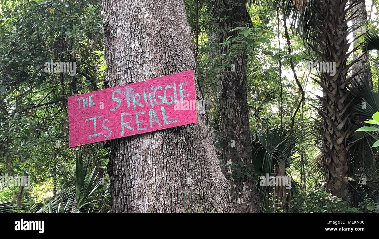 Un segno in un colpiti dalla povertà, zona rurale della Florida si legge: "La lotta è reale' Foto Stock