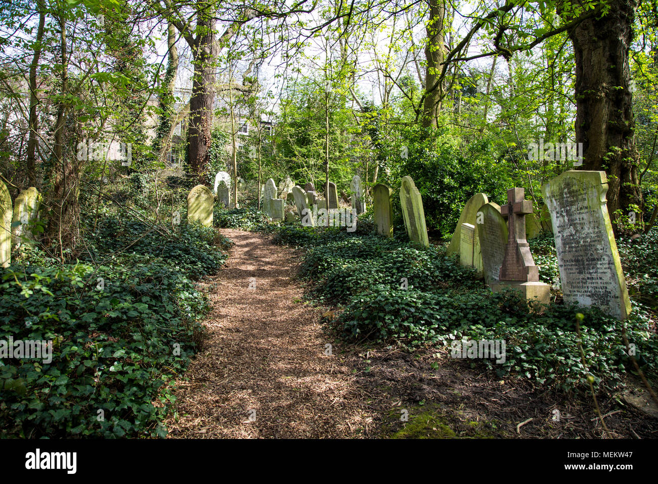 Sentiero attraverso un cimitero sovradimensionate, Abney Park Cemetery, uno dei magnifici sette cimiteri di Londra, Regno Unito Foto Stock