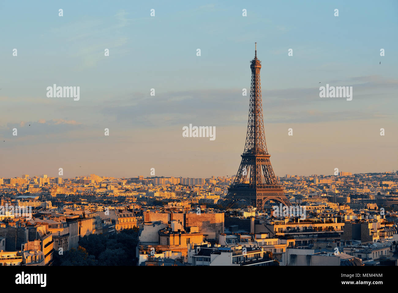 Parigi vista sul tetto skyline e Torre Eiffel in Francia. Foto Stock